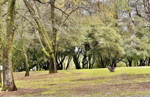 Foothill Wine Country Gem - Photo 14
