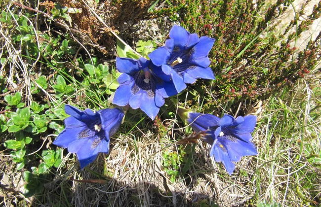 Amici 1. OG West - Foto 44