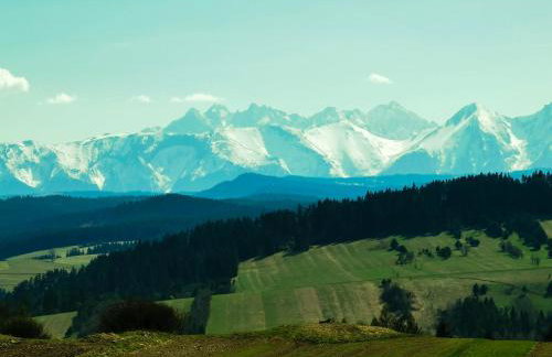 Skalny Zakątek z Grotą Solną na wyłączność - Foto 55