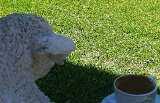 Burcum Apart - Photo 15