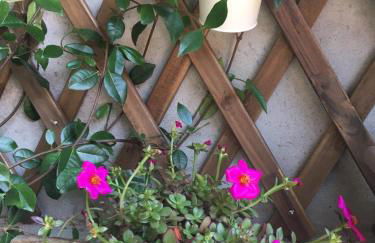 Il borghetto di Torno - Foto 33