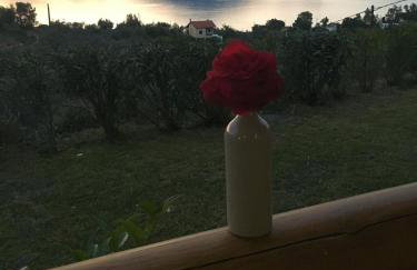 Villa Katia Agiokampos - Foto 7