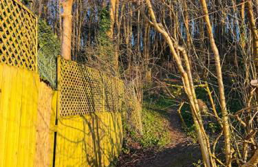 The Rural Woodside Cabin by MaisonPro - Foto 24