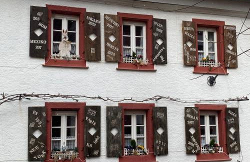 Phönix aus der Asche - Foto 51