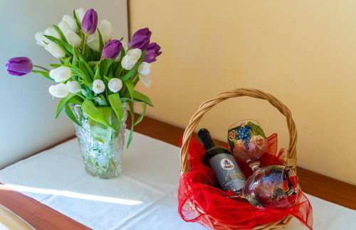Apartmani Niki ZVEKOVICA - Foto 19