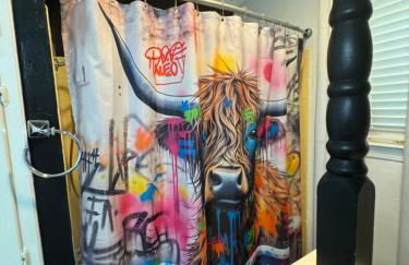 Arlington FOMO HOME - Foto 66