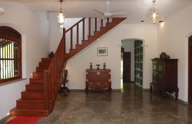 The Ginger House - Photo 15