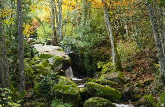 Ca' la Paz - Mogarraz - Foto 25