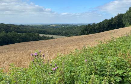 Pyes Granary - Foto 21