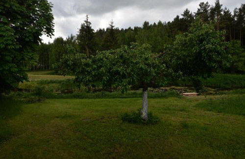 Agrodomek nad stawem - Foto 17