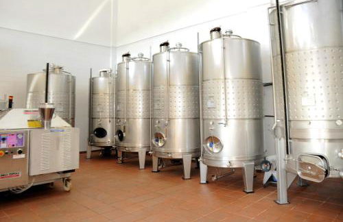 Quinta Das Escomoeiras - Foto 52