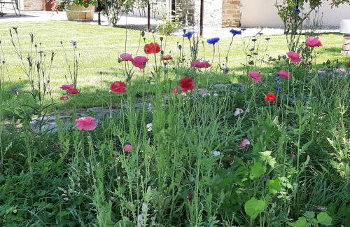 Cà Mia - Casa vacanze nelle vigne del Barolo - Foto 14