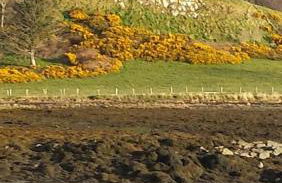 The Castle Apartment - Foto 29