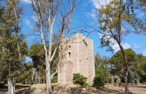 Torre la Sal - Encanto natural - Photo 34