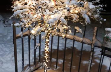 Tess House among woods and fields overlooking Trento - Foto 8