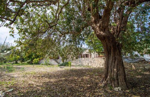 Casa Il Carrubbo - Foto 24