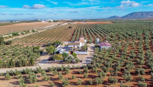 Cortijo del Coco 1 Fuente de Piedra by Ruralidays - Foto 5, Other