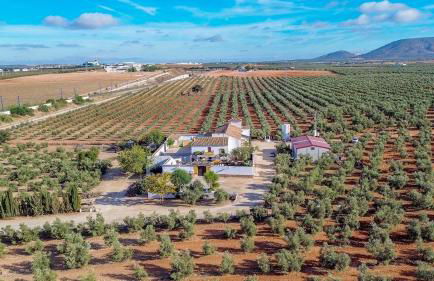 Cortijo del Coco 1 Fuente de Piedra by Ruralidays - Foto 5