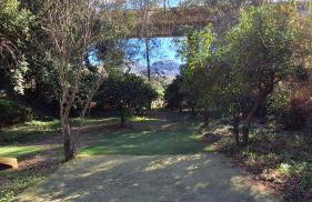 Finca el Agua da Vida (Los Eucaliptos & Los Olivos) - Foto 43