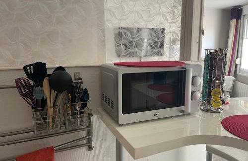 Studio rez-de-chaussée, à Lesquin/Lille aéroport - Photo 7