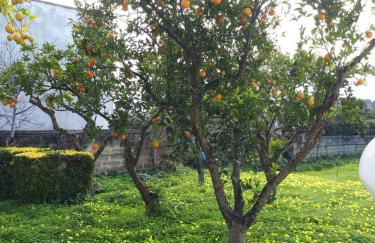 Villa Raffaela - Foto 15