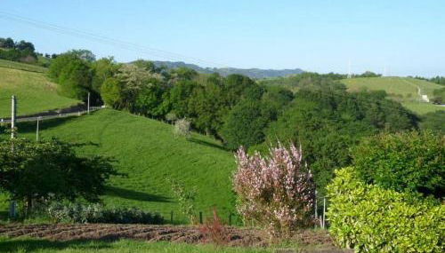 Perratzu Landarbide -Ideal parejas by Egona - Foto 2