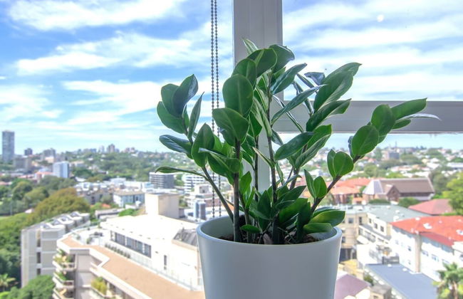 Bright 1 Bedroom Studio With Amazing City Views - Foto 13