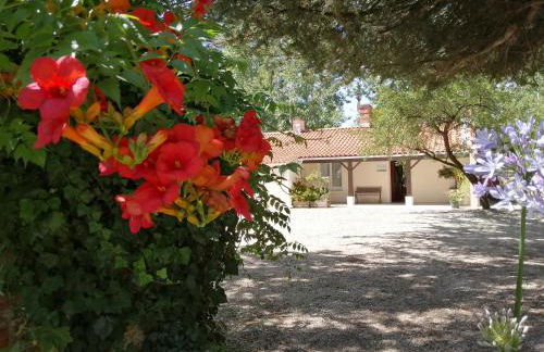 Camping La Loire Fleurie - Foto 6