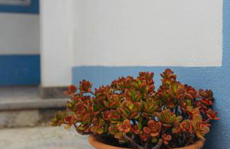 Oceanview Sunset Retreat - Photo 65