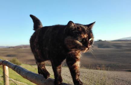 Agriturismo Bonello - Foto 96