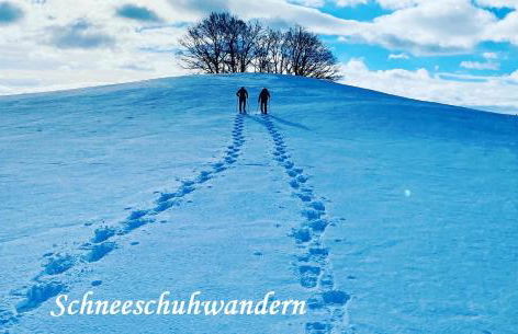 Helle FeWo am Waldrand - mit Balkon, Pool & Sauna - Foto 54