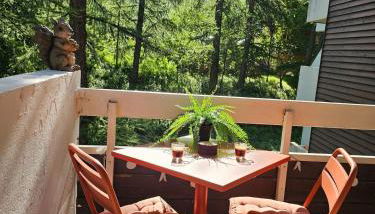 Studio 25m2 Vars, Chambeyron, Pied de Piste et Confort - Foto 2, Garden, Garden view