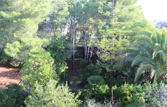 Masseria Pagani - Photo 61