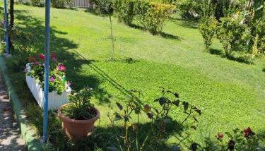 APP Leo - Foto 4, Garden