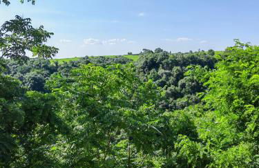 Il giglio bianco - Foto 26