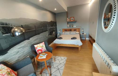 OFERTA ESPECIAL ÚLTIMA HORA - SARAKATUA15 - vistas espectaculares - familias y parejas - 2 dormitorios independientes - amplio salón cocina comedor - tarjeta parking OTA GRATIS - Julio y agosto estancia mínima 7 noches de domingo a domingo - - Foto 15