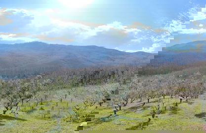 Agriturismo Li Guira - Foto 58