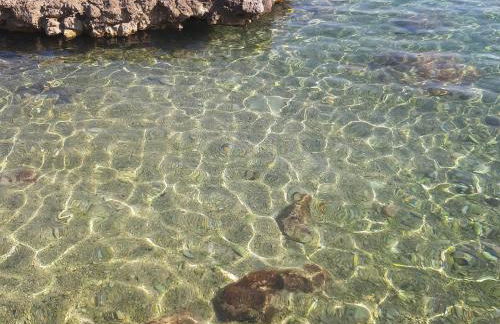 Da Nonna Cosimina - Foto 9