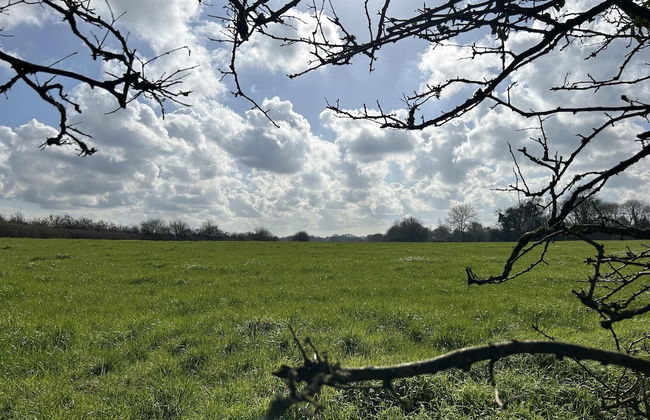 Romantic King Bed Countryside Couples Cabin - Photo 13