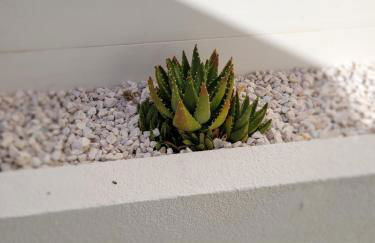 Tahiti Beach, T2 à la mer, piscine, terrasse et parking - Foto 17