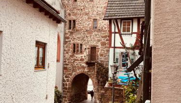 Natur und Neckarblick bei Heidelberg - Foto 4