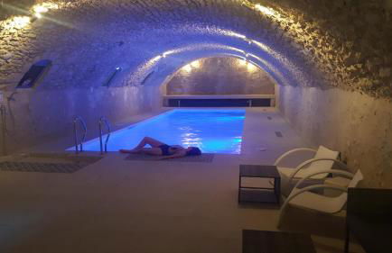 GITE LOFT DE 15 PERSONNES AU CHATEAU DE JALLANGES VOUVRAY - Foto 7