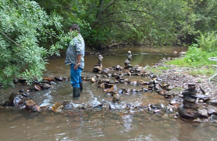 Sete Quintas - Foto 20