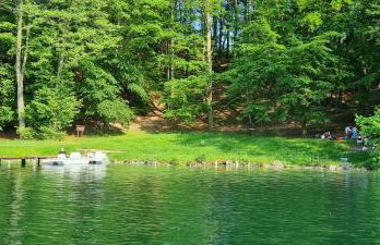 Zielona Dolina - Foto 17