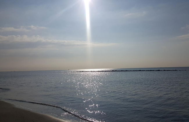 Il Mare di Roma - Photo 52