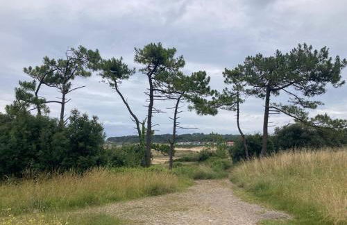 Apartamento con jardin Long Beach Loredo - Foto 47