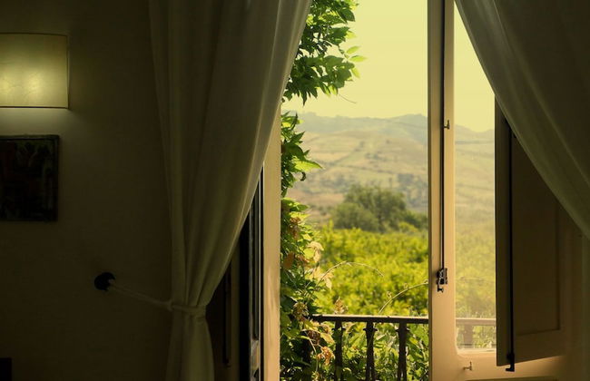 Agriturismo Modi - Foto 18