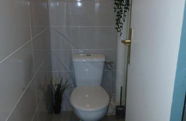 Flore - Foto 14