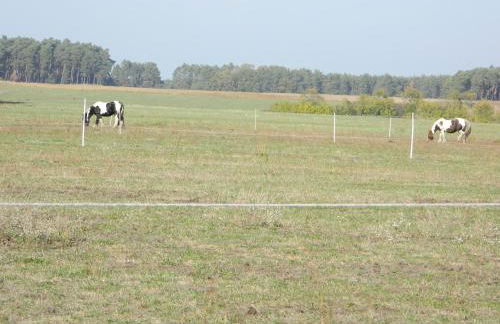 Unter den Linden - Foto 18
