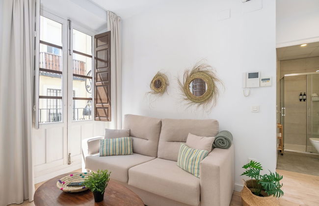 Apartamentos Luna Suites Palacio Dorita - Foto 60